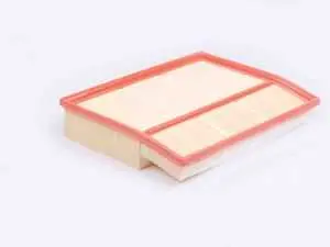 Engine Air Filter