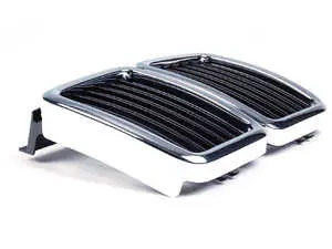 Kidney Grille Assembly
