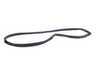 ES#1664578 - 1266700239 - Rear Window Seal - Seals the rear window from the outside elements - Genuine Mercedes Benz - Mercedes Benz