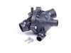 ES#2582080 - N524TSTKT - Thermostat Replacement Kit - Includes mounting hardware and coolant - Genuine BMW - BMW