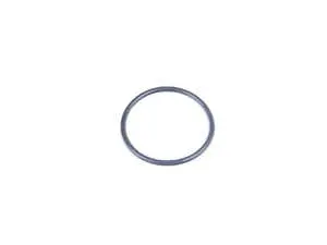 Thermostat O-Ring