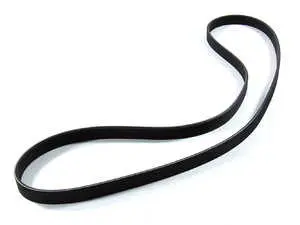Accessory Belt