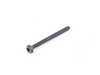 ES#16517 - 07142755453 - Screw for plastic - Priced Each - ISA TS4X45 , For the interior truck lid trim - Genuine MINI - MINI