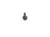 ES#16517 - 07142755453 - Screw for plastic - Priced Each - ISA TS4X45 , For the interior truck lid trim - Genuine MINI - MINI