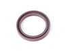 ES#260747 - m20_11 - Ultimate Timing Belt Kit - Level 2 - Replace your water pump and thermostat with your timing belt! - Assembled By ECS - BMW