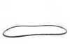 ES#438332 - 8E0837911M - Front Outer Door Seal - Left - Seals the door to the body of the vehicle - Genuine Volkswagen Audi - Audi