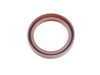 ES#4146999 - 23111224799 - Output Shaft Seal - Located on the tail stock of the transmission - SKF - BMW