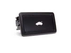 Trunk Close button