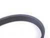 ES#2538807 - 99919220450 - Accessory Belt - 736mm - Priced Each - Alternator drive belt for cars without air conditioning - Continental - Porsche
