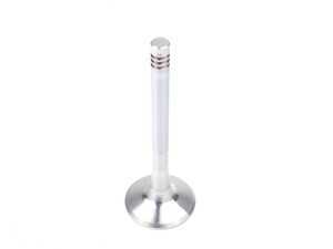 ES#2588134 - 92810541004 - Exhaust Valve - Priced Each - Standard replacement exhaust valve - AE - Porsche