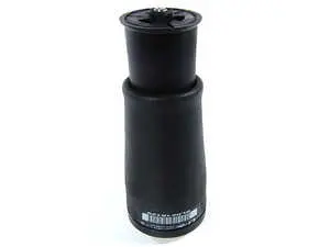 Rear Air Spring - Left
