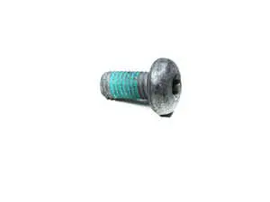 Torx bolt - priced each