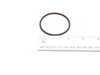 ES#1513604 - 99970750240 - Coolant O-ring - Priced Each - 50 x 3mm - Genuine Porsche - Porsche