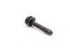 ES#1899714 - 07147154225 - TORX-BOLT WITH WASHE - Genuine BMW - BMW MINI
