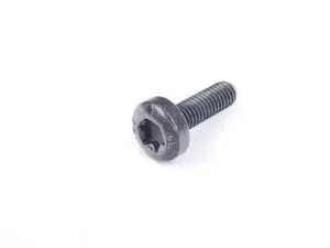 Torx Screw