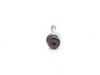 ES#44899 - 24201423383 - Torx Bolt With Washer - Priced Each - Secures the vane pump to the transmission body - Genuine BMW - BMW