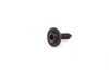 ES#2135766 - 07149197038 - FILLISTER HEAD SCREW - Genuine BMW - BMW MINI