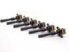 ES#2588238 - 12131703228IGKT - Ignition Service Kit - Everything you need to service your ignition system - Assembled By ECS - BMW