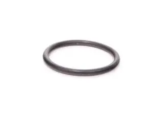 Automatic Transmission Filter Gasket