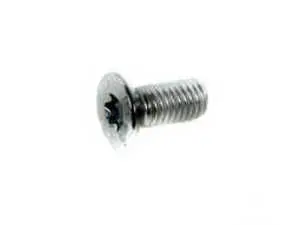 Countersunk Torx Screw