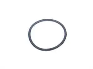 Thermostat O-Ring