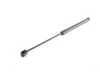 ES#2966863 - 4F0823359B - Hood Strut - Keep your hood propped - Genuine Volkswagen Audi - Audi