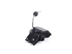 Trunk Lock Assembly