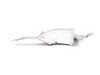 ES#129189 - 51717892296 - SUPPORT - Genuine BMW - 