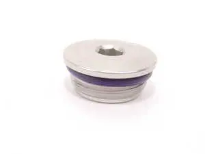 Screw Plug With Gasket - Priced Each