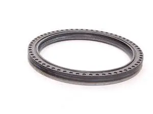 Crankshaft Seal - Rear Main Seal 