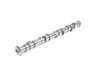 ES#22069 - 11311485827 - Camshaft - Single cam with stock setting - Genuine MINI - MINI
