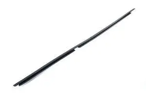 Rear Lower Door Window Seal - Left