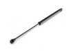 ES#2586449 - 1J0823359AFKT - Hood And Hatch Strut Kit - Tired of holding that sagging hood or hatch open? - Assembled By ECS - Volkswagen