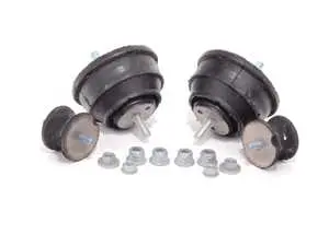 Motor And Transmission Mount Kit