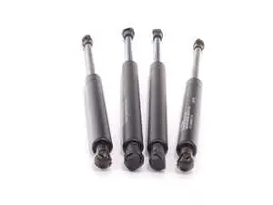 Hood And Trunk Strut Kit
