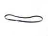 ES#2162850 - 079903137AA - Alternator Belt - Replaces your cracked or worn belt - Gates - Audi Volkswagen