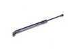 ES#2587295 - 51248222913 - Trunk Strut - Priced Each  - (NO LONGER AVAILABLE) - Strut to hold rear trunk lid up - FEQ - BMW