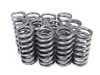 ES#259702 - SPRK-AUDI18 - Performance Valvetrain Kit - Includes springs, retainers, and spring seats - Supertech - Audi Volkswagen