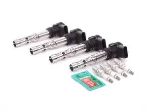 Ignition Service Kit