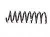 ES#1752109 - 2103211204 - Front Coil Spring - Priced Each - Fits Left Or Right Side - Genuine Mercedes Benz - Mercedes Benz