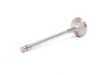 ES#2569986 - VWEVI-1002S - Exhaust Valve - Priced Each - Rev Higher without worry - Supertech - Volkswagen