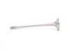 ES#2569986 - VWEVI-1002S - Exhaust Valve - Priced Each - Rev Higher without worry - Supertech - Volkswagen