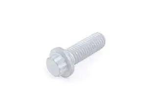 12-point bolt - priced each