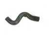 ES#19546 - 11151407344 - E39 M5 Right Oil Separator Return Hose - Connects to the bottom of the oil separator - Genuine BMW - BMW