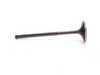 ES#2569983 - VWIVN-1002S - Intake Valve - Standard Size - Priced Each - Rev Higher without worry, requires single groove valve keepers - Supertech - Audi Volkswagen