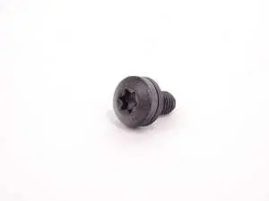 Torx Bolt With Washer