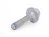ES#1619100 - 0069907004 - Harmonic Balancer Securing Bolt - Must be replaced when removing the harmonic balancer - Genuine Mercedes Benz - Mercedes Benz