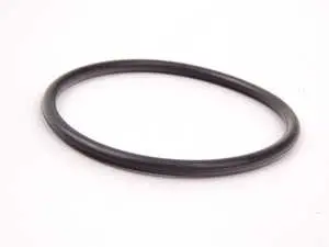 Sealing O-Ring