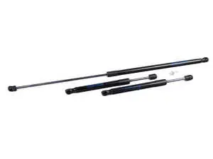 Hood And Trunk Strut Kit