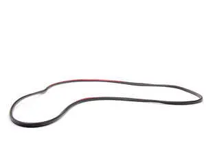 Front Outer Door Seal - Right